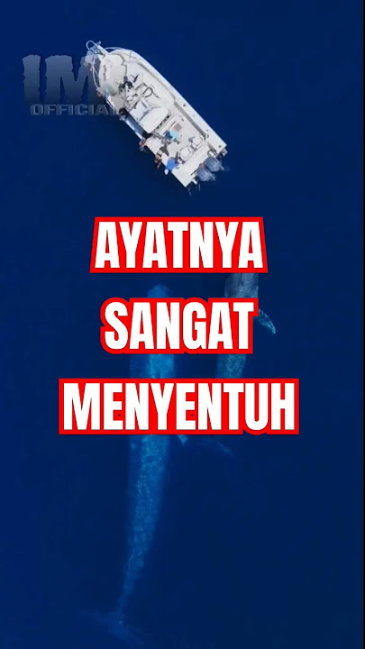 AYATNYA SANGAT MENYENTUH #murottal #alquran #storywa #trending
