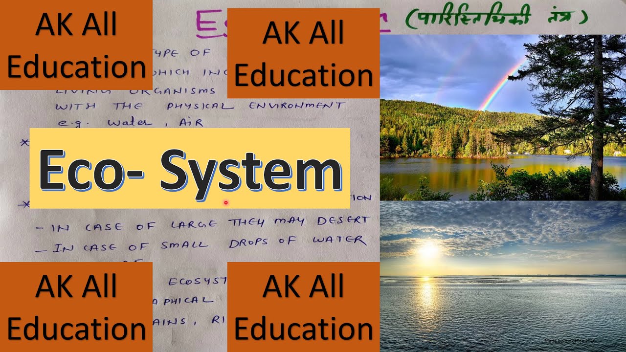 ecosystem ppt presentation in hindi