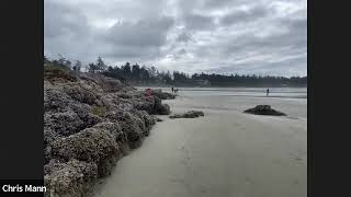 Virtual Photo Walks at Cox Bay, Tofino, BC, Canada  with Chris Mann