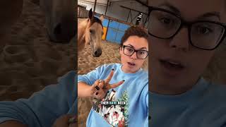 Meet Ercup Our Newest Addition On The Farm