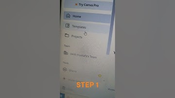 How To Make Money on Canva Selling Templates (1000+ Templates Sold Hot Niche)
