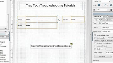 Basic Text Fields in Adobe LiveCycle ®
