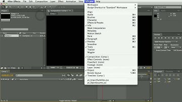 pt_ImportSubtitles_v1.3 Demo