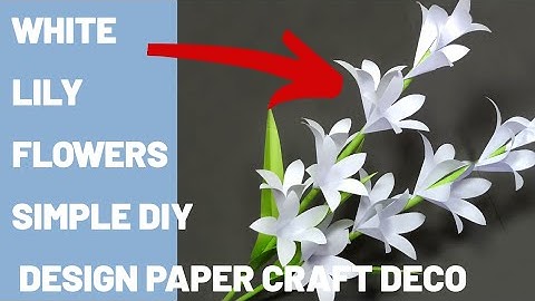 Whit Lily Flower Simple Diy Paper Design Craft Idea Deco