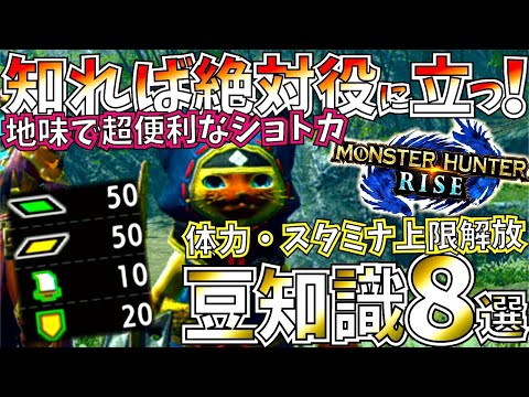 無限投てき武器や便利なおすすめショトカ、体力/スタミナ上限解放方法など。絶対知っておきたい豆知識8選！【モンハンライズ.MHRise】