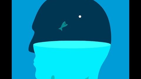 Feed The Head Walkthrough