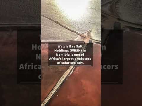 Walvis Bay Salt