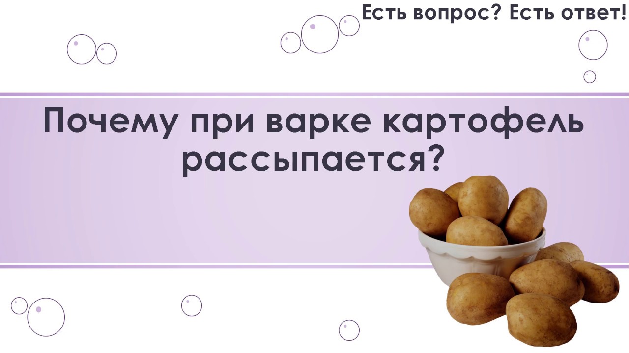 Почему картофель при варке становится рассыпчатым. Почему картофель при варке становится рассыпчатым