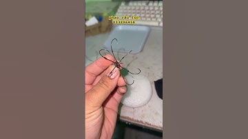 lưỡi câu lục ( siêu phẩm bềnh 7 xoài cao tay cacbon mỹ thép nga mỡ  120k/c)