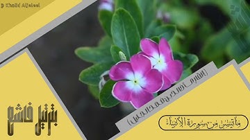 ماتيسر من سورة الأنبياء القارئ خالد بن فهد الجليل