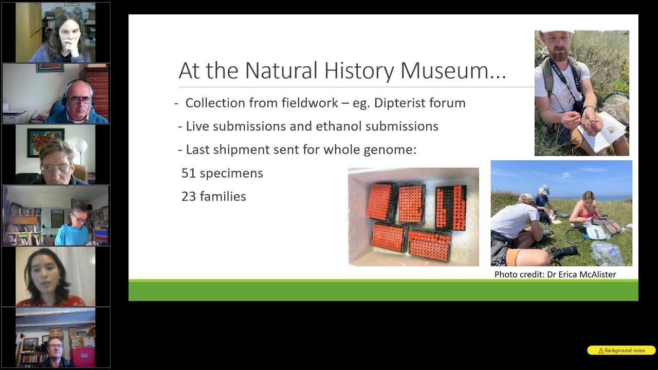 Dipterists Day 2021 complete talks