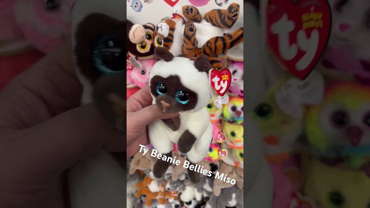 Ty Beanie Bellies Miso Cat Plushies Beanieboos Beaniebellies