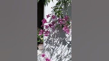 "فَأَمَّا مَنْ أُوتِيَ كِتَابَهُ بِيَمِينِهِ " #قرآن #علي_جابر #سورة_الحاقة #تلاوة_خاشعة #راحة_نفسية