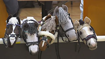 Финляндия: скачки на игрушечных лошадках (новости)