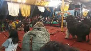 PUTRA KELANA DENGAN 4 SINGO ULUNG ADU KETANGKASAN