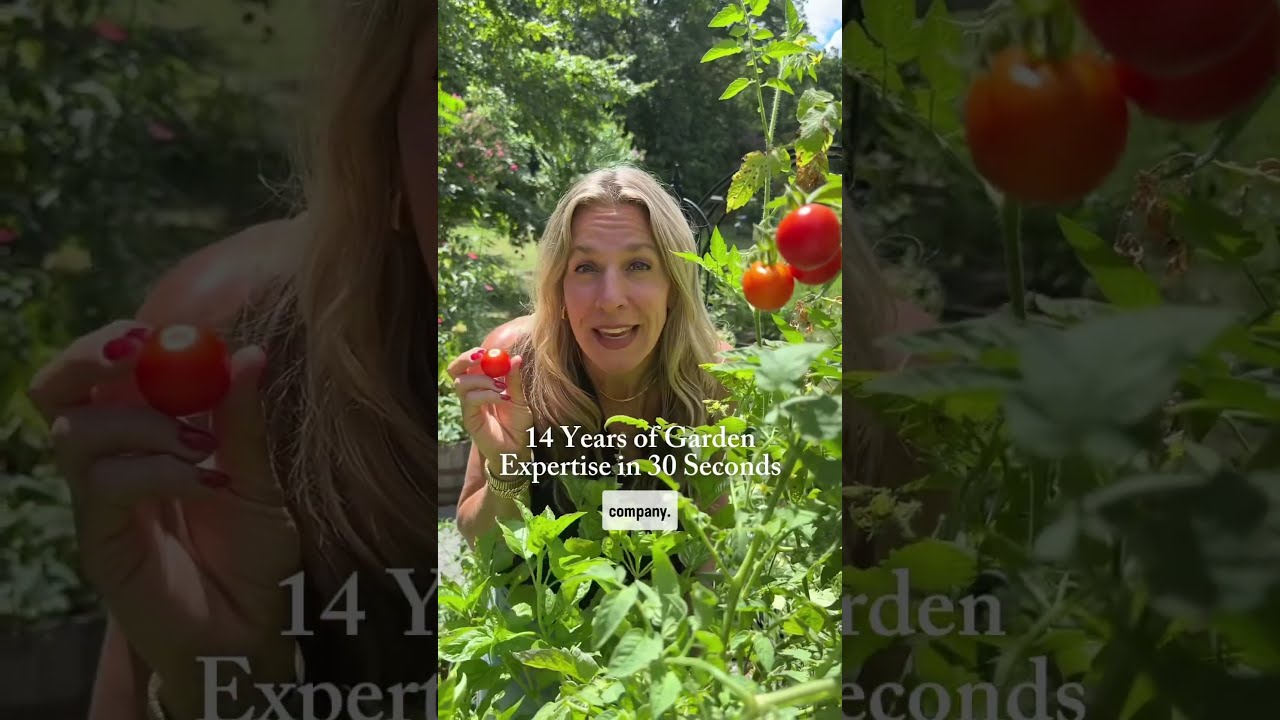 After 14 Years Of Gardening You Pick Up A Few Things Here S What Need To Know Garden Gardentips