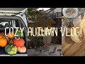 Cozy autumn Vlog! fall coffee shop, Antiquing, and getting more chickens!