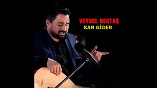 VEYSEL BEKTAŞ - KAN GİDER Resimi