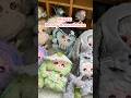 Welcome to Mioco’s dreamy world!#blindbox #unboxing #mioco #cutetoys #plushies #didapop #toys