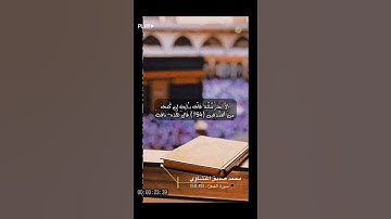 سورة الشعراء الاية 151-158