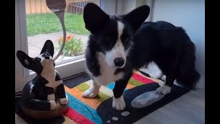 How to make wooden sculpture a lamp Corgi dog