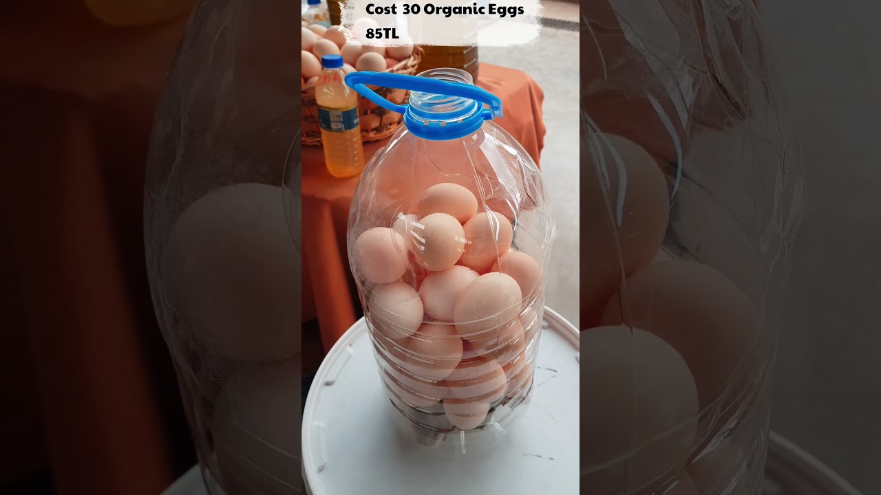 High Quality Protein Food | Organic Eggs Cost | Hafta Bazar