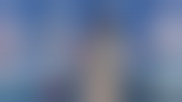 Thread protector introduction