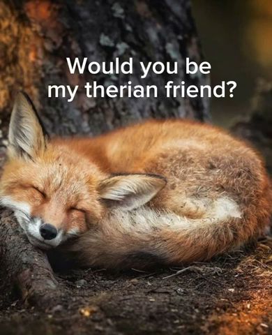 Would you be my therian friend? Fox edition #animals #therian #therianthropy #alterhuman #nature