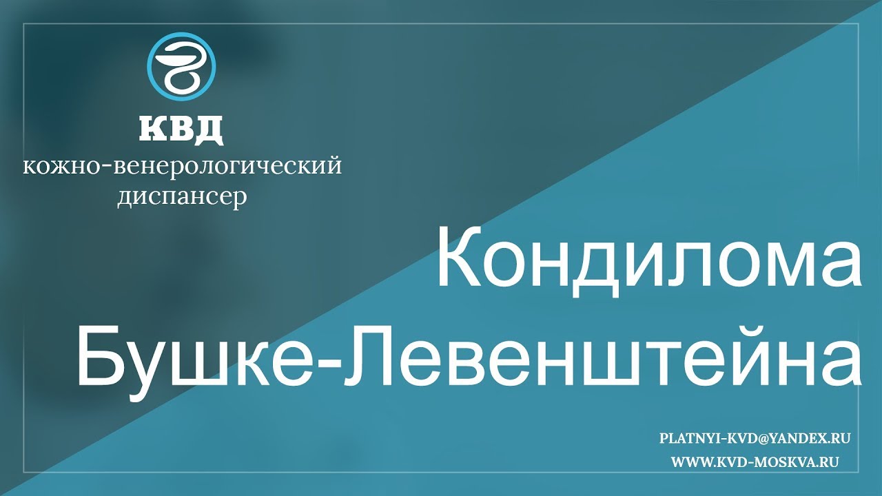 279 Кондилома Бушке-Левенштейна