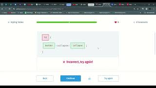 17 Styling Tables | Introduction to CSS | sololearn