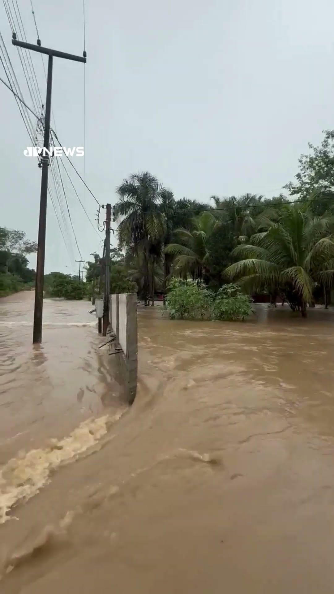 Rio Araras em RO passa pela maior cheia em 40 anos; famílias estão desalojadas #Shorts