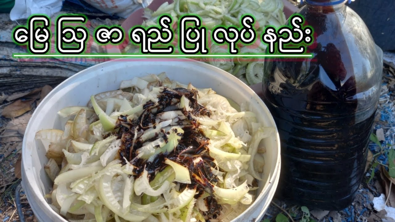 ​ေြမ ဩဇာ ရည် ြပဳလုပ္နည္း 2022( ko yoe စိုက္ပျိုေရး )ဝင္ြကည့္လိုက္ပါ