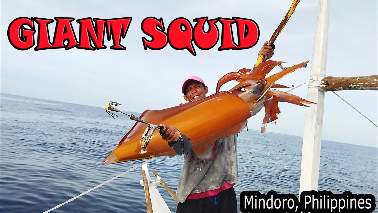 HOW TO CATCH GIANT SQUID? PAANO MANGHULI NG HIGANTENG PUSIT?|Ka-BOYBOY TV