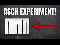 Das Asch Experiment einfach erklärt!