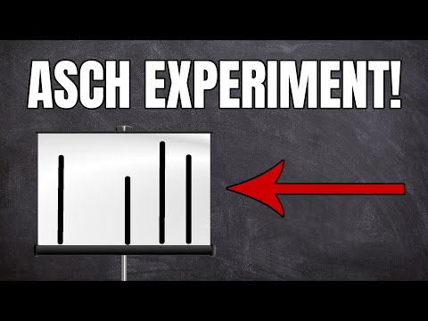 Video: Bol experiment s konformitou Asche etický?