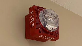 Basement Fire System Test 19 | Gentex Speaker/Strobes