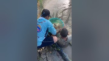 Vlogs 229 Bồi cá - Hồ Câu Ngọc Tâm 0339955545 Phạm Văn Hai, Bình Chánh, TP HCM || Thầy Duy Vlogs