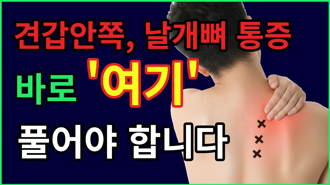 날개뼈 안쪽 통증, 견갑골 안쪽이 아니라 ‘목’ 문제입니다ㅣ견갑골 통증, 목 디스크 증상, 등 근육 통증