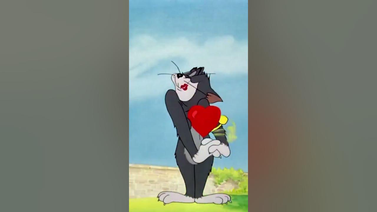Tom and Jerry cartoon. tom girlfriend ️ ️ YouTube