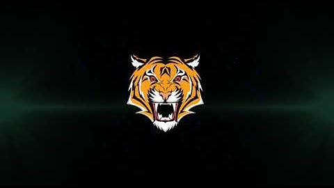 New template avee music player #15(Template tiger music)