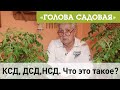 Голова садовая - КСД, ДСД,НСД. Что это такое?