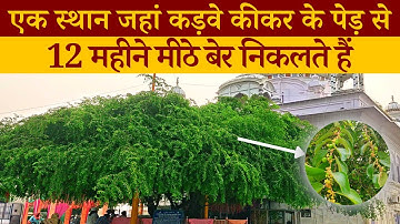 When Guru Nanak Dev Ji Came To See Shivratri Festival | Gurudwara Achal Sahib