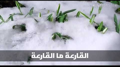 سوره القارعه من صوت الشيخ زياد