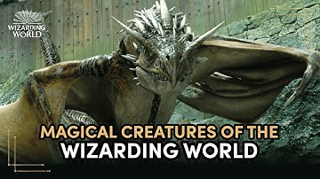 Magical Creatures of The Wizarding World | Discover Harry Potter Ep.9
