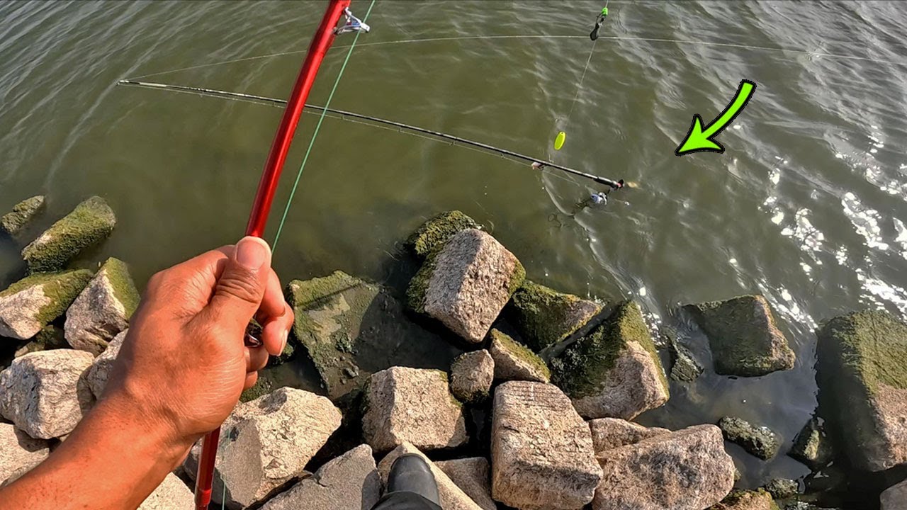 I Caught A Fishing Pole With A Catfish Still On The Line! 