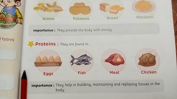 Lesson 3 Chapter 3 Discover grade 3