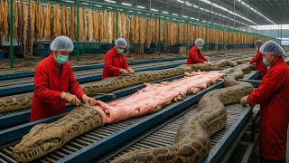 Inside the Snake-Leather Factory: From Raw Skin to Luxury Jacket (Full Process)