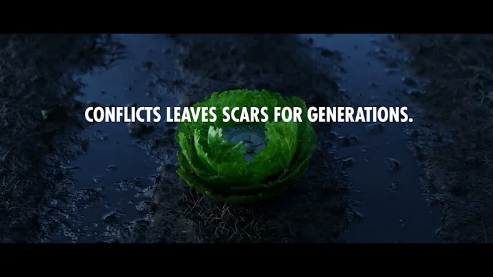 Conflict is the Leading Cause of Hunger | Leaving Scars for Generations