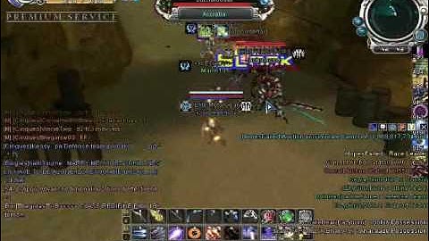 RF Online Praxis server using BUG POTS!!