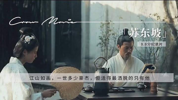 【苏东坡】，豆瓣8.8分纪录片。江山如画，一世多少豪杰，销声匿蹟的苏东坡，才是中国励志人物的典范。 - 天天要闻